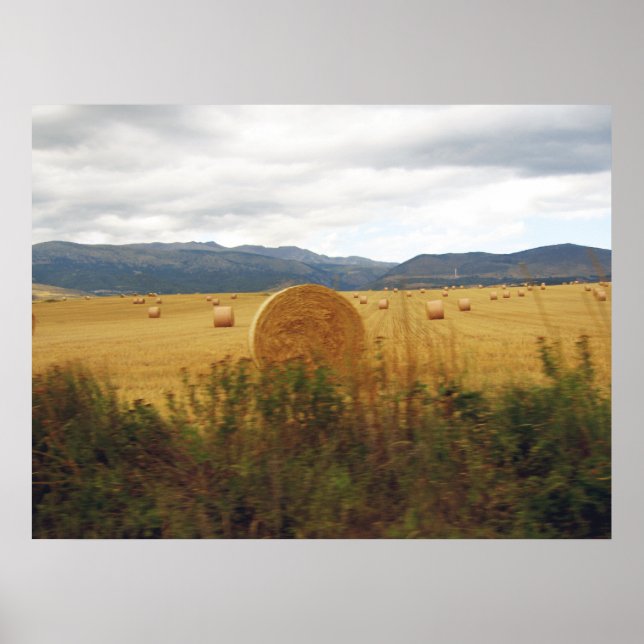 Pyrenees Poster (Front)
