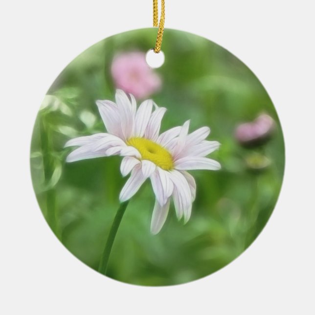 Pyrethrum Daisies -  Tanacetum coccineum Ceramic Ornament (Front)