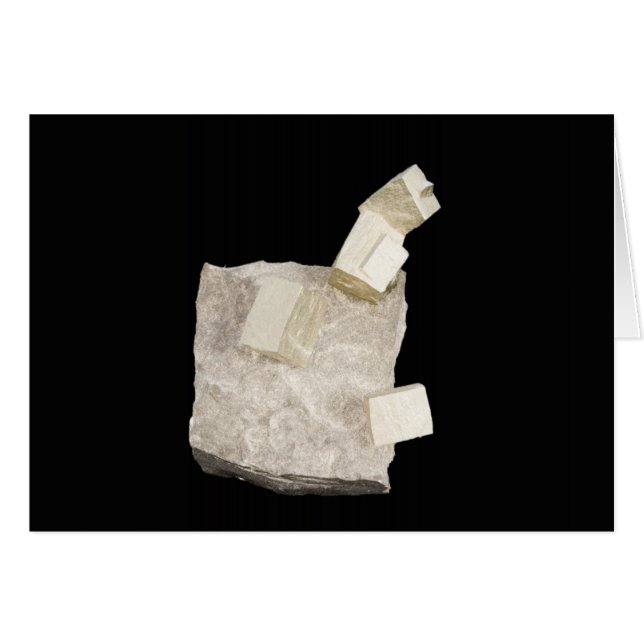 Pyrite Crystals in Shale (Front Horizontal)