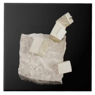 Pyrite Crystals in Shale Ceramic Tile