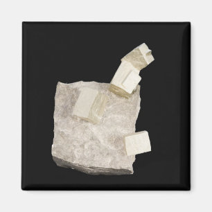 Pyrite Crystals in Shale Magnet