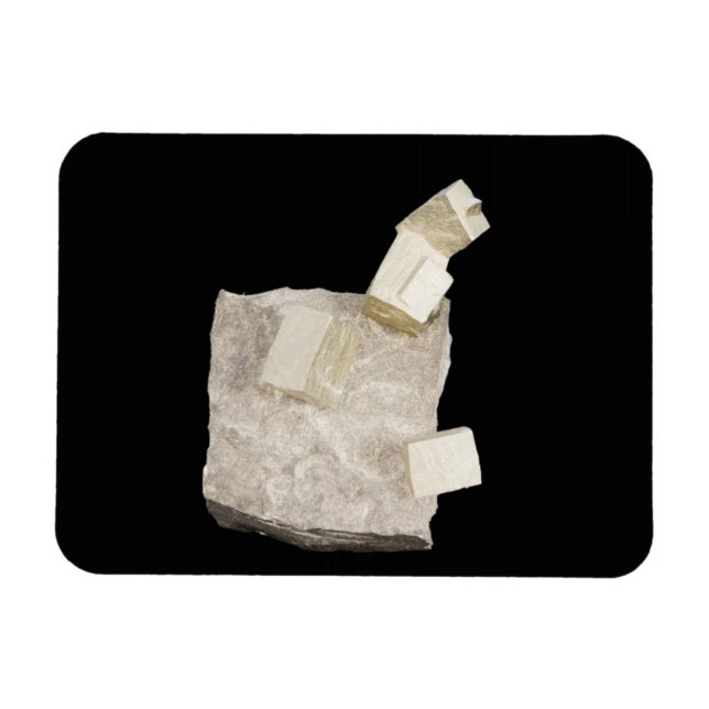 Pyrite Crystals in Shale Magnet (Horizontal)