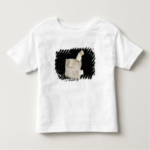 Pyrite Crystals in Shale Toddler T-Shirt