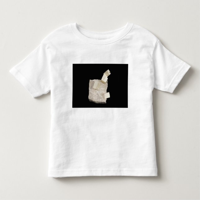 Pyrite Crystals in Shale Toddler T-Shirt (Front)