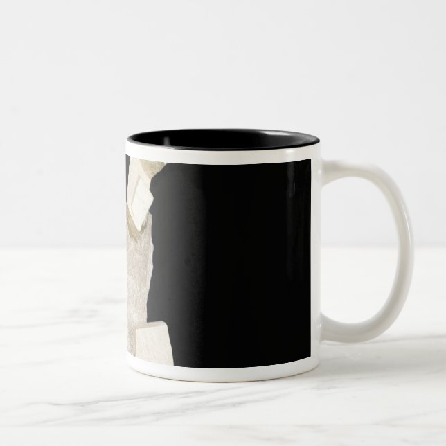 Pyrite Crystals in Shale Two-Tone Coffee Mug (Right)