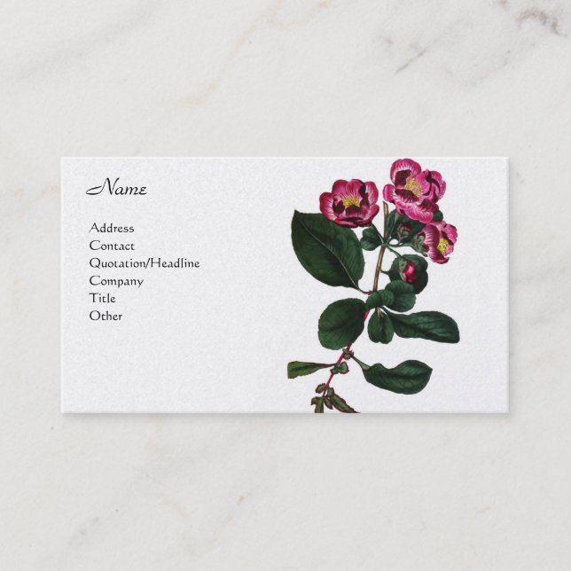 Pyrus Japonica Business Card (Front)