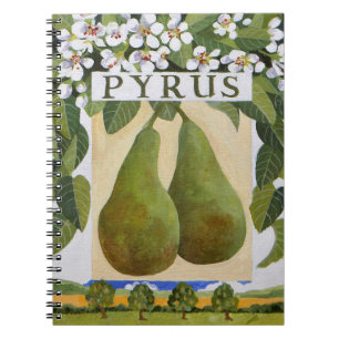 Pyrus Notebook