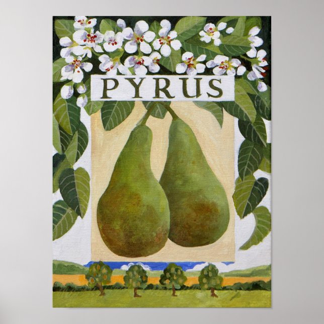 Pyrus Poster (Front)