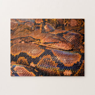 Python Boa Snake Jigsaw Puzzle