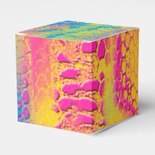 PYTHON - modern decorative fractal - Favour Box
