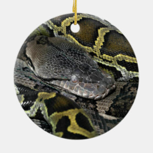 Python molurus bivittatus ceramic ornament