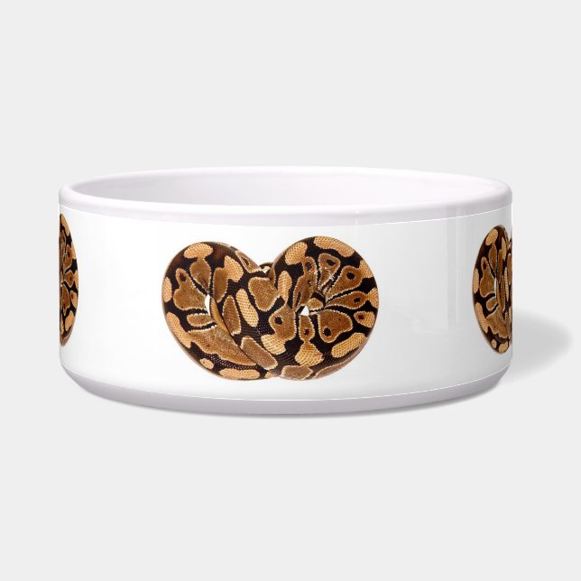 Python Pet Bowl (Front)
