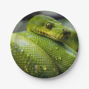 Python Snake Animal Paper Plate