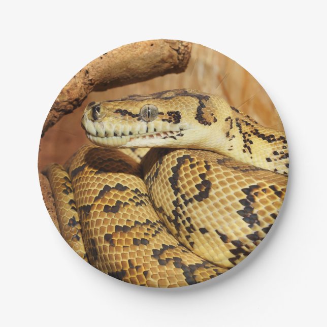 Python Snake Reptile Pattern Exotic Wildlife Paper Plate (Front)