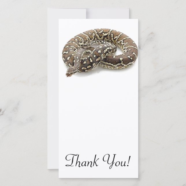 Python Snake Reptile Thank You Card (Front)