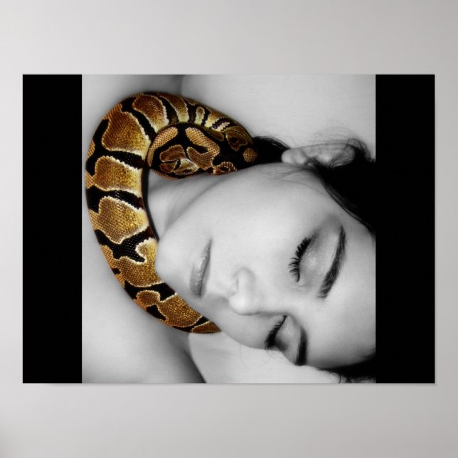 Python's Lullaby Poster (Front)