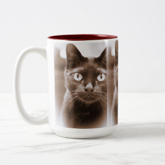 Pywacket Potrait I Mug