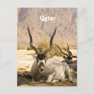 Qatar Postcard