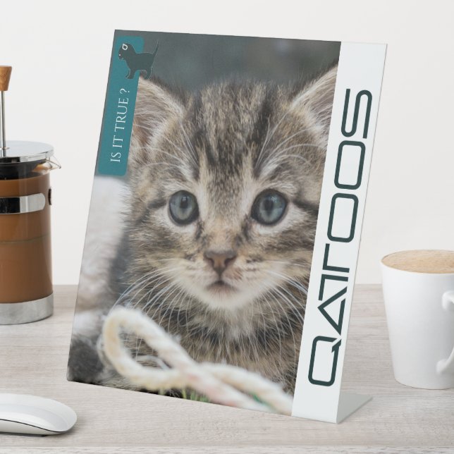 QATTOOS  PEDESTAL SIGN (In SItu)