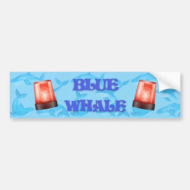 QI Blue Whale Bumper Sticker (Front)