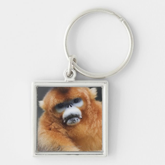 Qinling Mountains Key Ring (Front)
