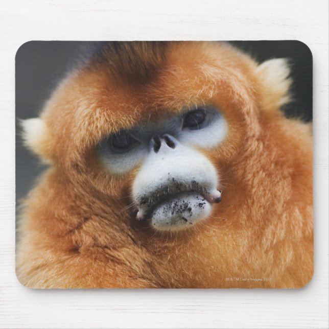 Qinling Mountains Mouse Pad (Front)