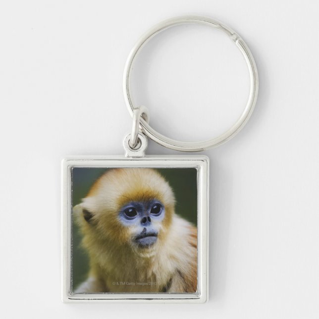 Qinling Mountains, Oct 2006 Key Ring (Front)
