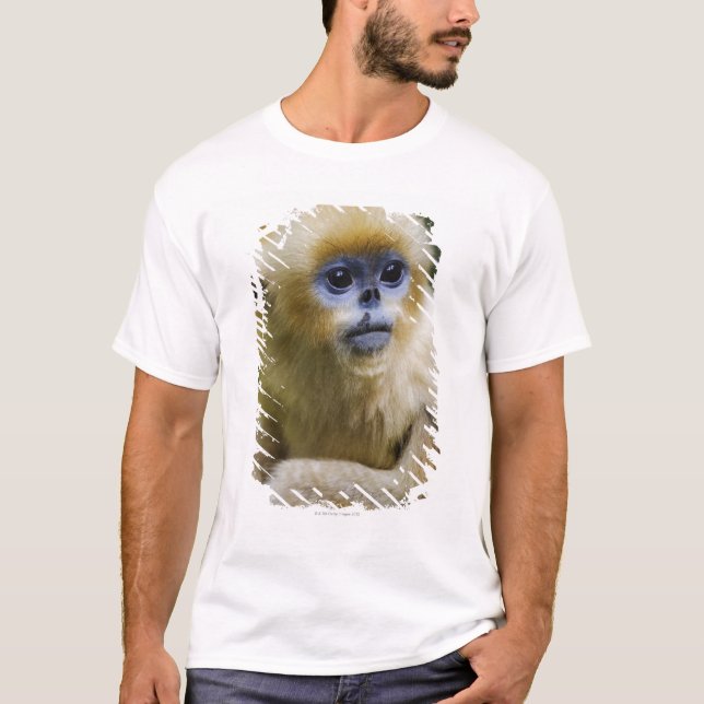 Qinling Mountains, Oct 2006 T-Shirt (Front)