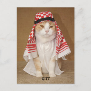 QITT/ CAT POSTCARD