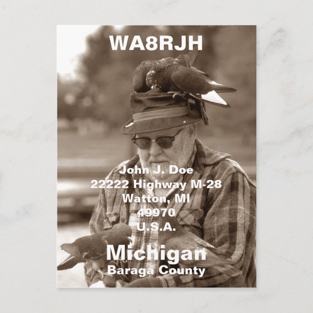 QSL PCs HAM Radio Op man flock carrier pigeons Postcard (Front)
