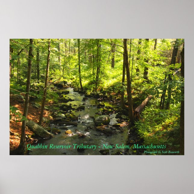 Quabbin Reservoir Tributary Poster (Front)
