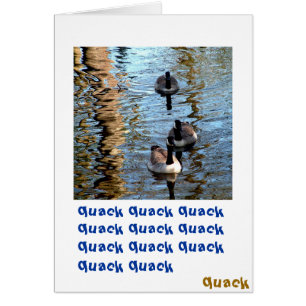 Quack Quack Quack