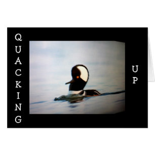 QUACKING UP BECAUSE YOU ARE "40"