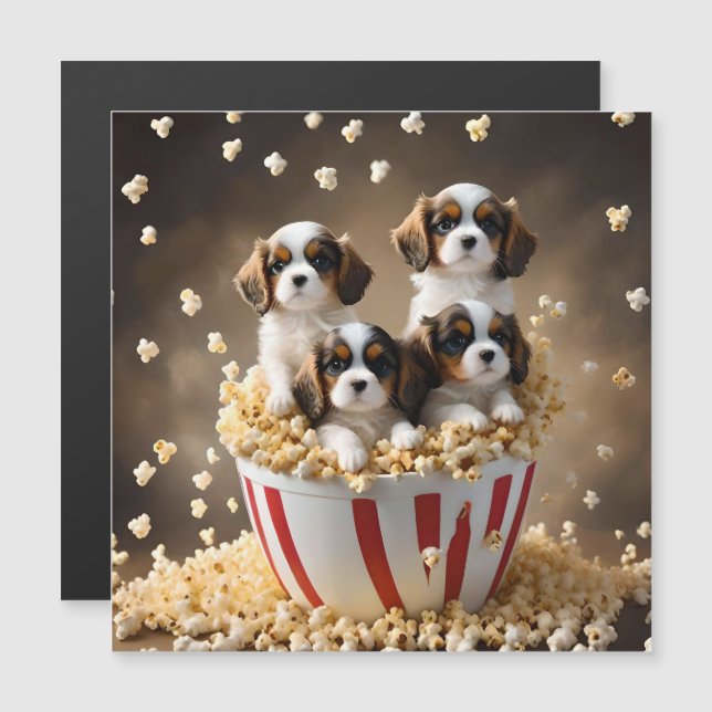 Quads Cavalier Spaniel Puppies In The Popcorn, (Front/Back)