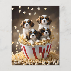 Quads Cavalier Spaniel Puppies In The Popcorn, Flyer