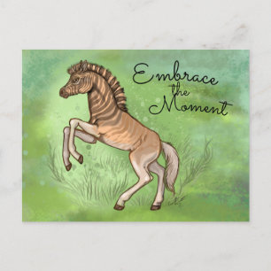 Quagga "Embrace the moment" Postcard
