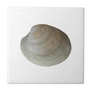 Quahog Clam (untitled) Ceramic Tile