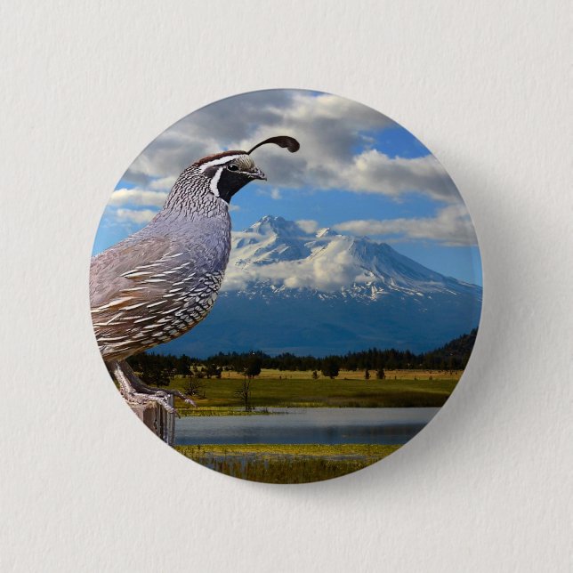 QUAIL AND MT SHASTA 6 CM ROUND BADGE (Front)