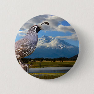 QUAIL AND MT SHASTA 6 CM ROUND BADGE