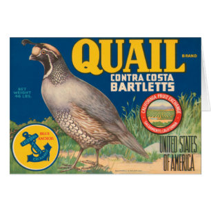 Quail Brand Contra Costa Bartletts