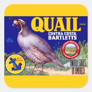 Quail Brand Contra Costa Bartletts Square Sticker