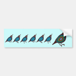 Quail Bumper Sticker