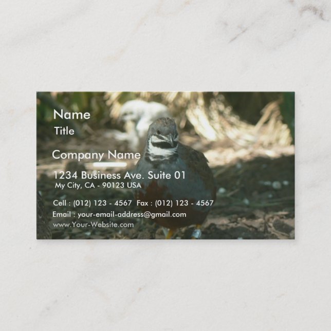 Quail Business Card (Front)