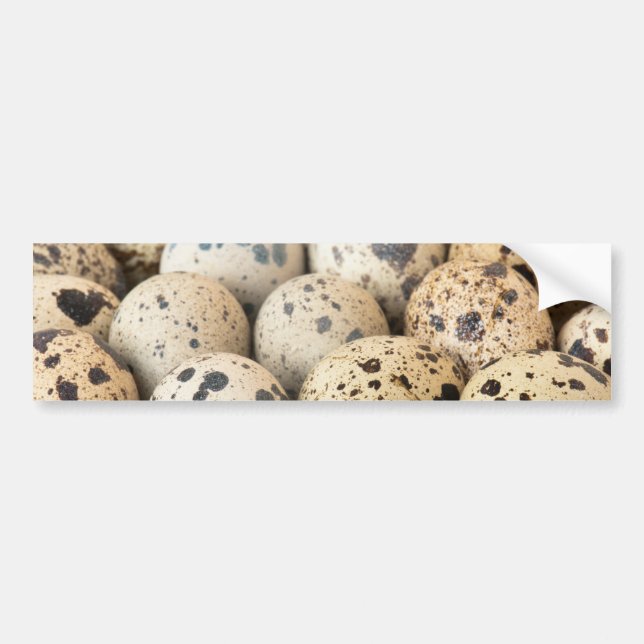 Quail Eggs Bumper Sticker (Front)
