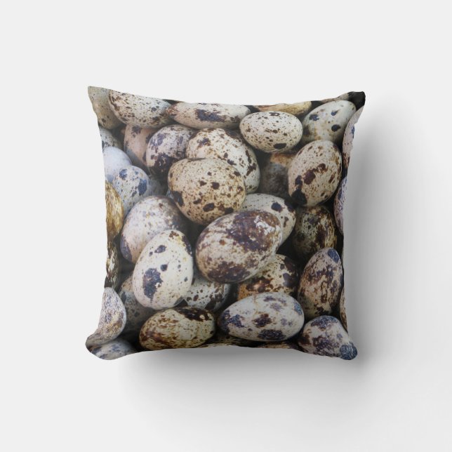 Quail Eggs Cushion (Front)
