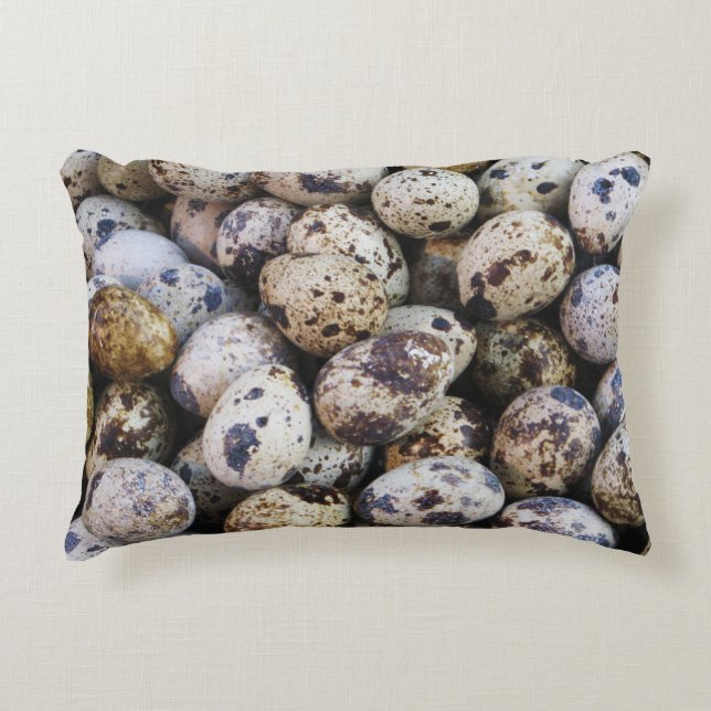 Quail Eggs Decorative Cushion (Front)