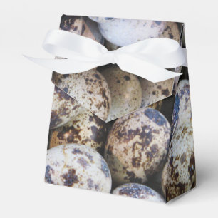 Quail Eggs Favour Box