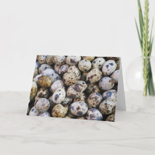 Quail Eggs Holiday Card