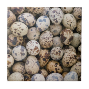 Quail Eggs, Huaraz, Cordillera Blanca, Ancash Ceramic Tile