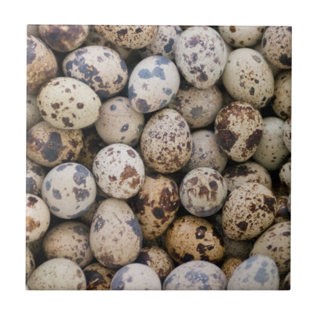 Quail Eggs, Huaraz, Cordillera Blanca, Ancash Ceramic Tile (Front)